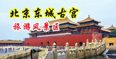 黄色插逼频中国北京-东城古宫旅游风景区